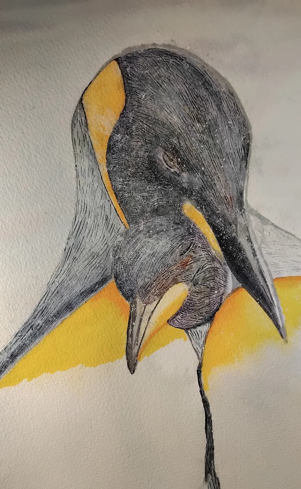 Penguin Embrace