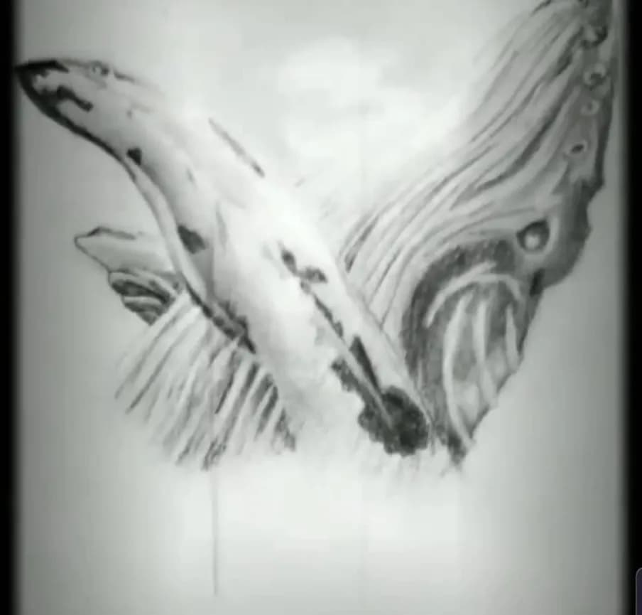 Oceanic Harmony