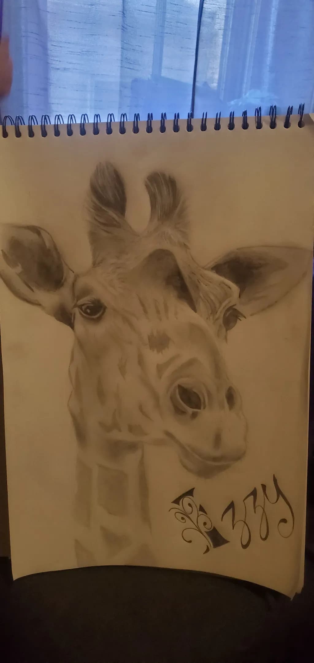 Giraffe Portrait