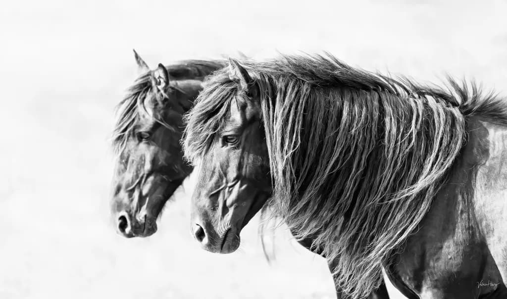 Twin Spirits