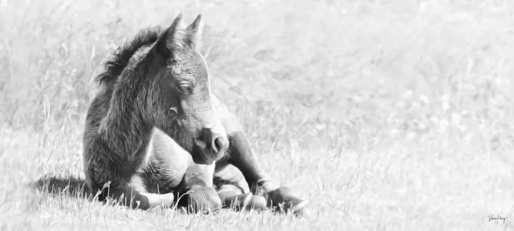 Tenderness
