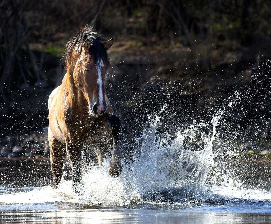 Born of Water