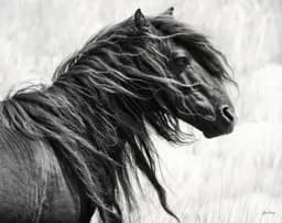 Windblown