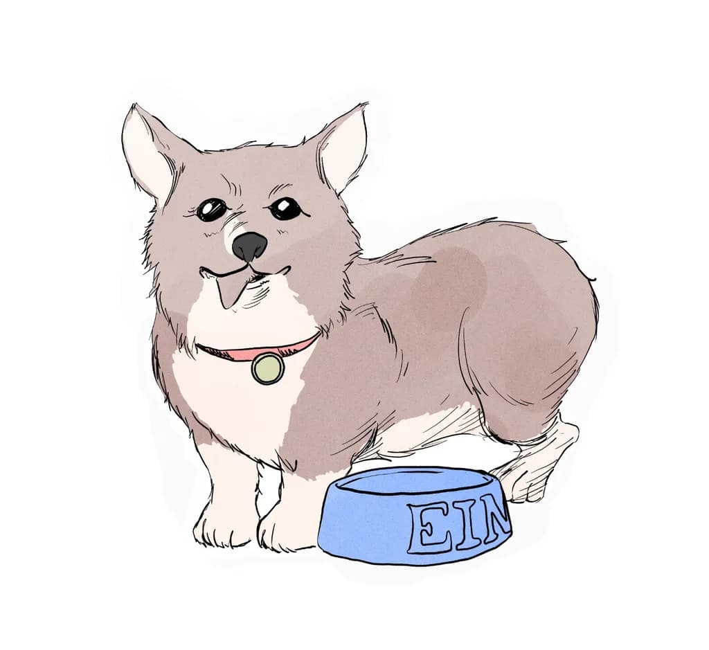 Corgi Companion