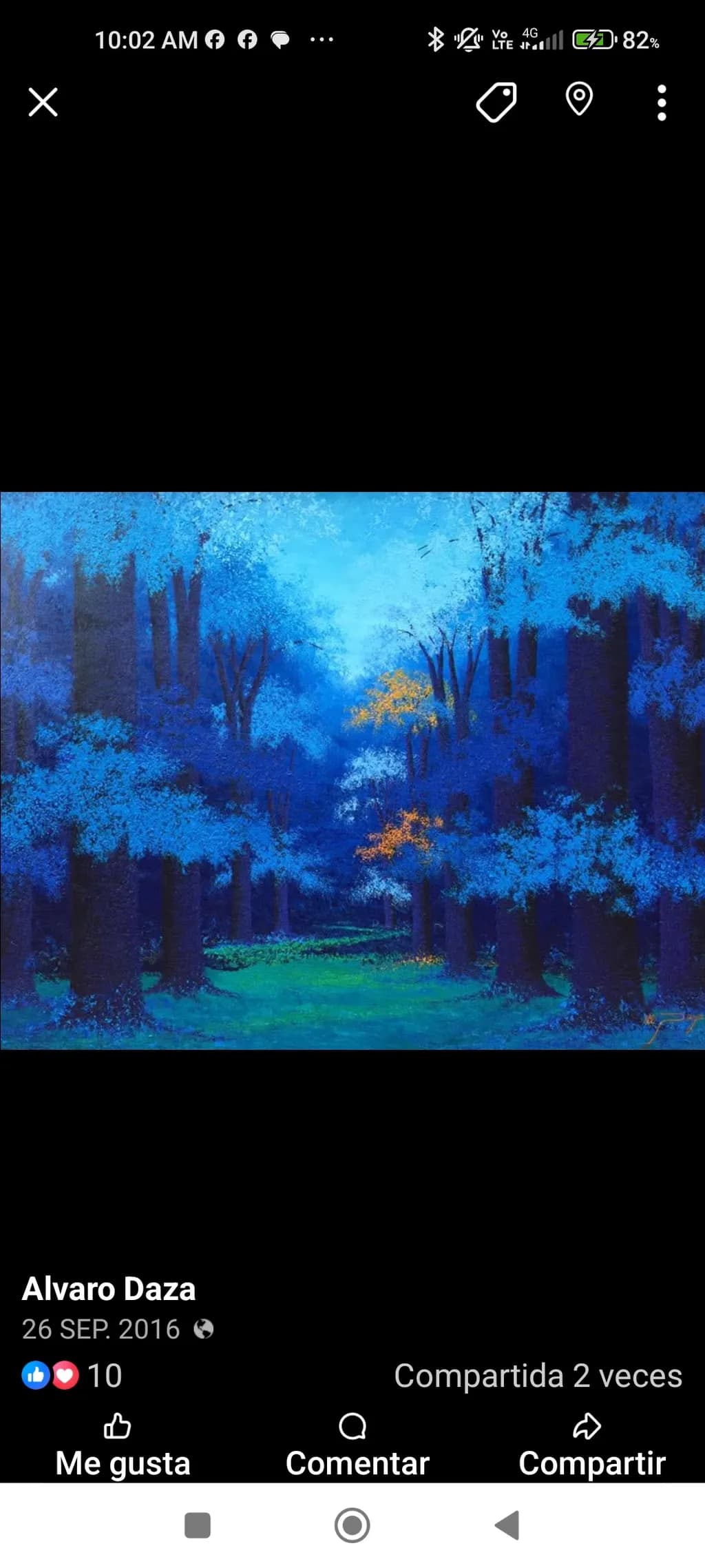 Tranquil Forest Blues