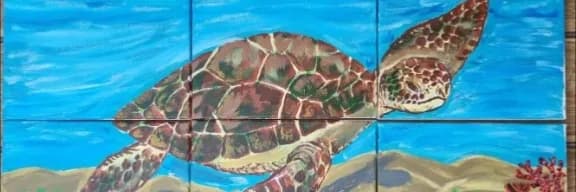 Colorful Turtle Dive