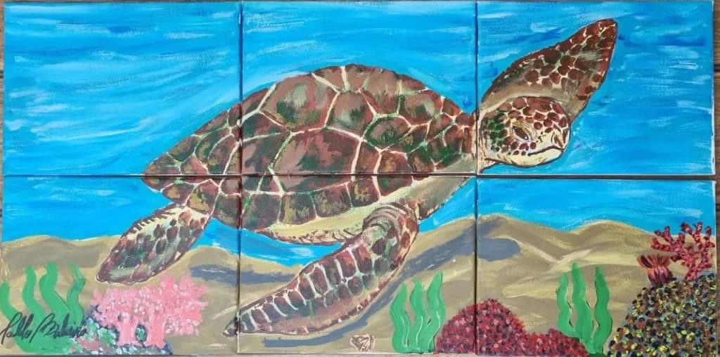 Pedaços de Mar