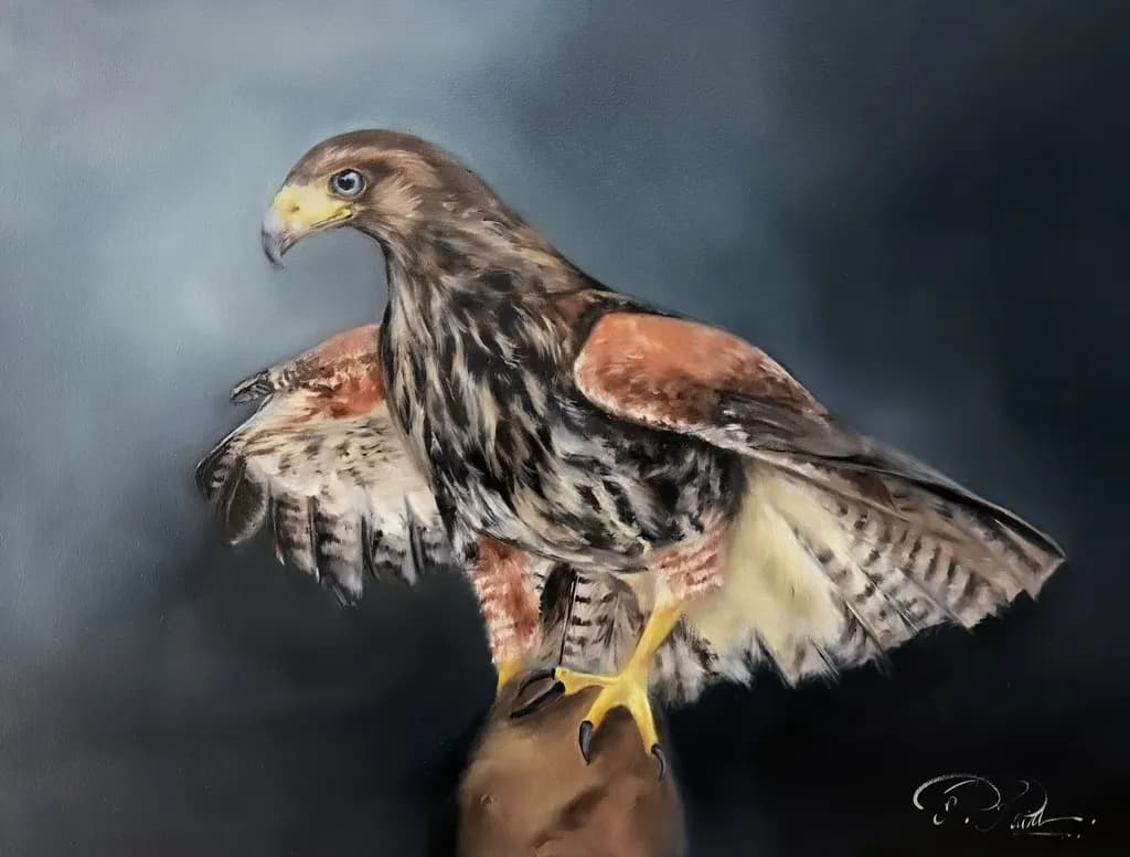 Majestic Hawk
