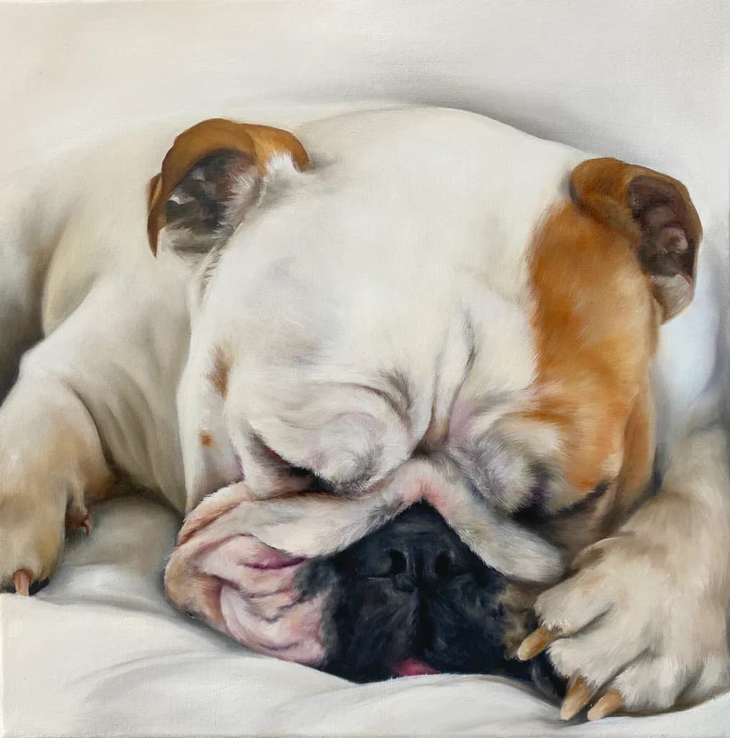 Sleeping Bulldog
