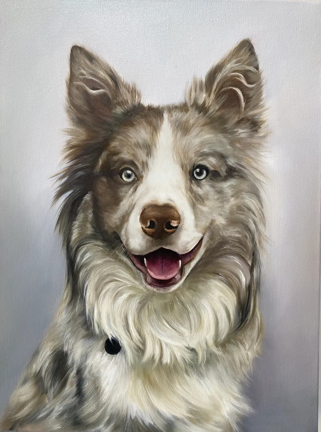 Fluffy Canine Portrait