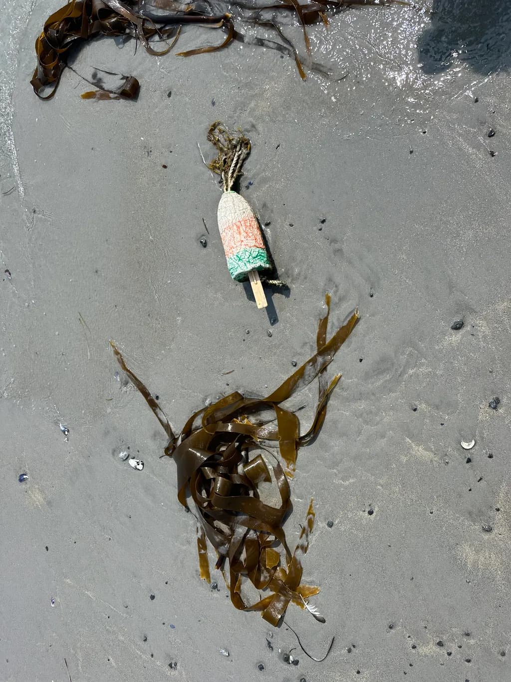 Beach Buoy and Kelp