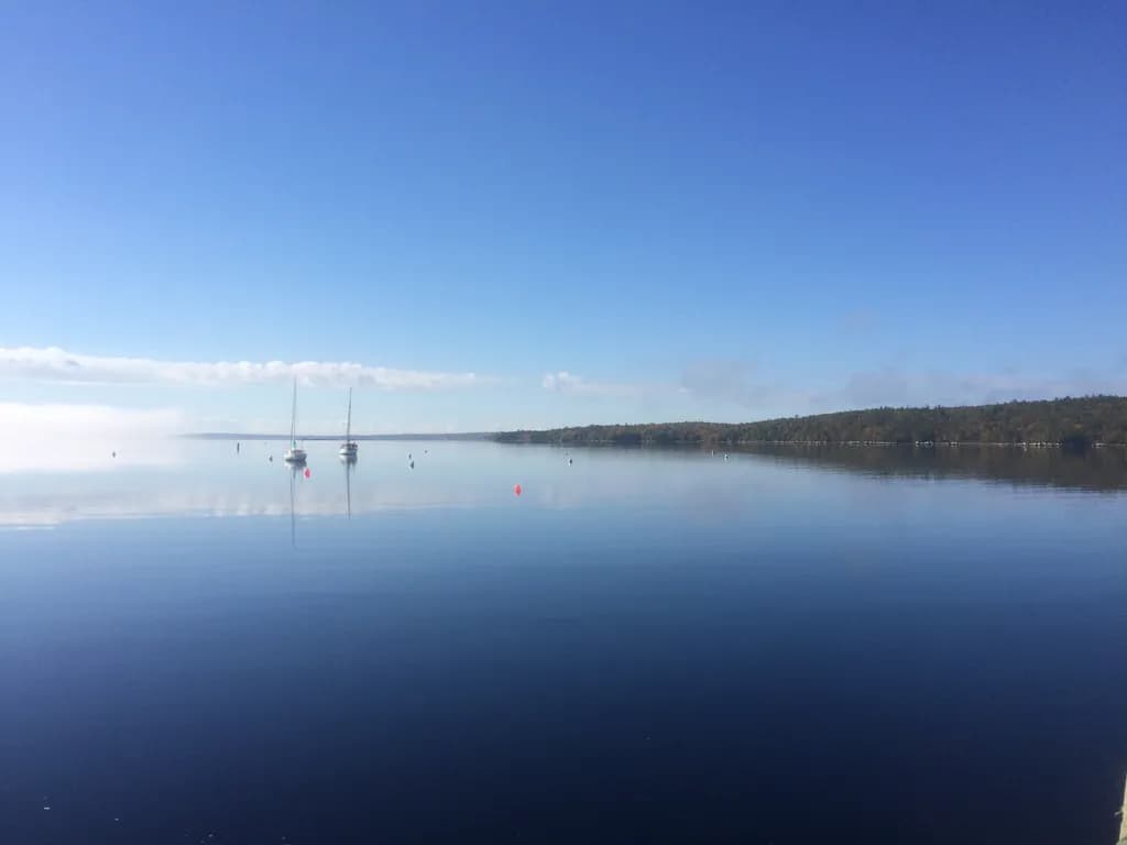 Calm Waterscape