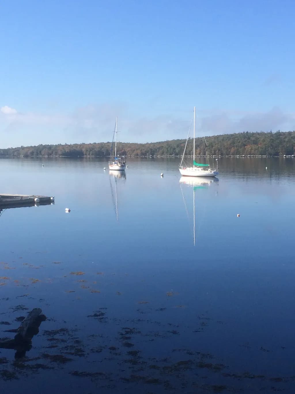 Calm Waterscape