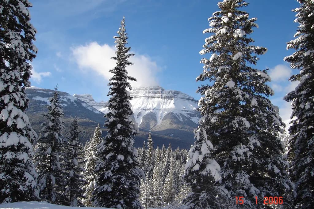 Snowy Peaks