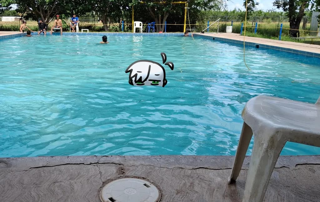 Poolside Reflection