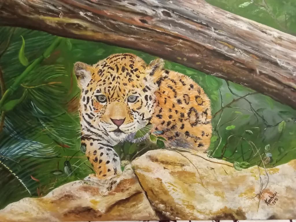 Jaguar Stare