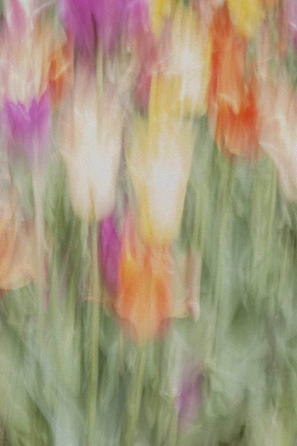 Tulips in Bloom
