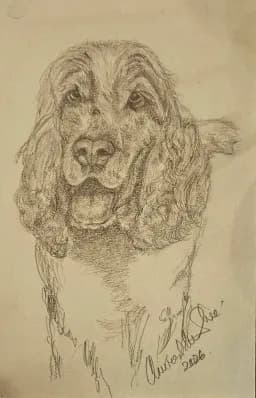 Gentle Dog Portrait