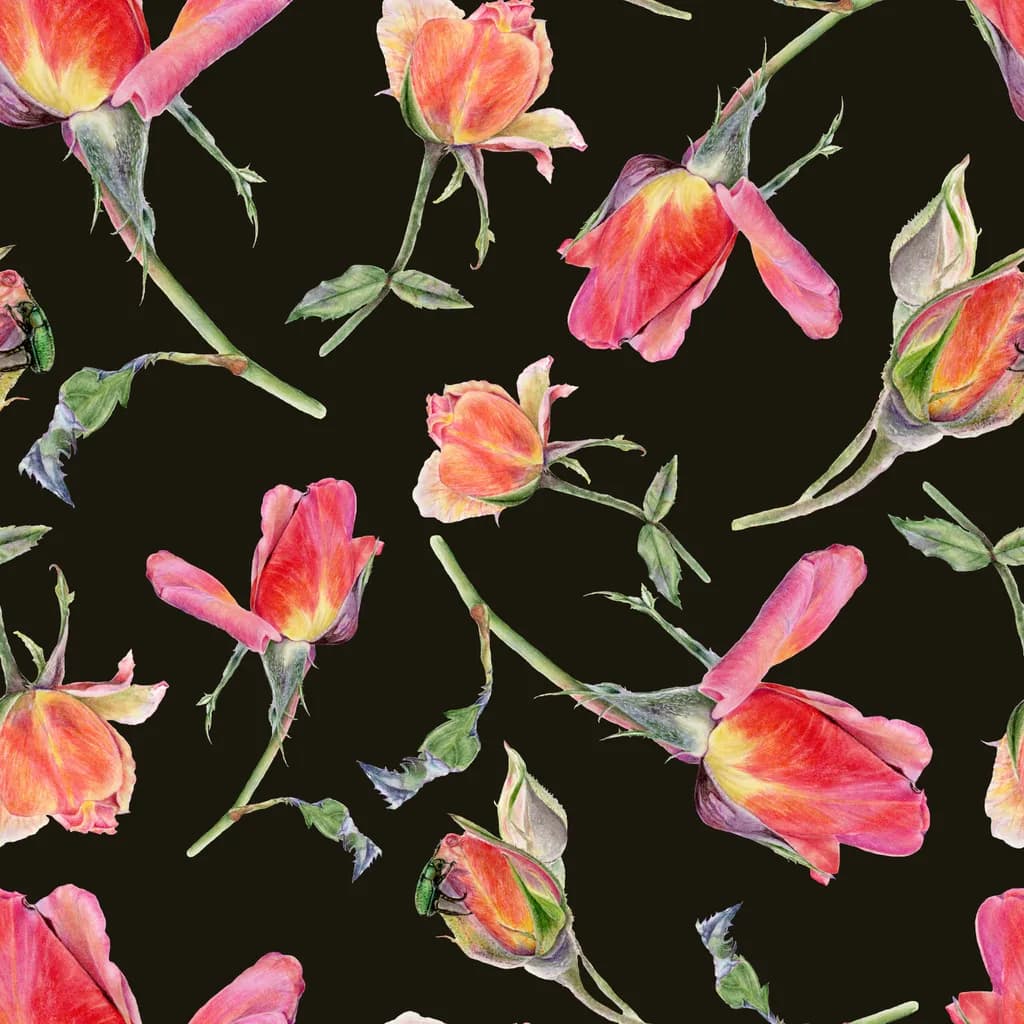 Rosy Romance Black