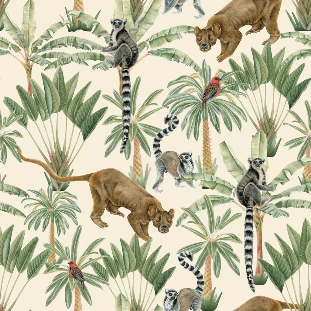 Madagascan Dream