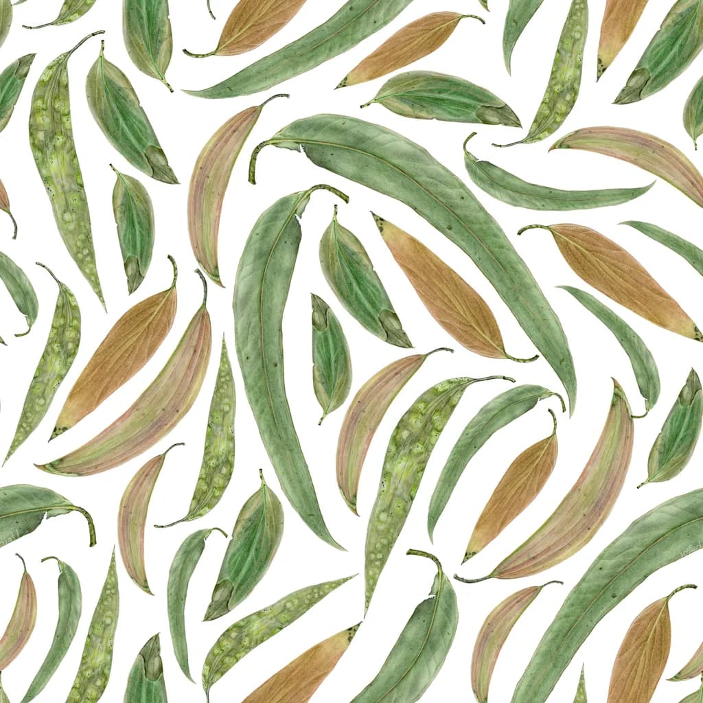 Green Gum Leaves