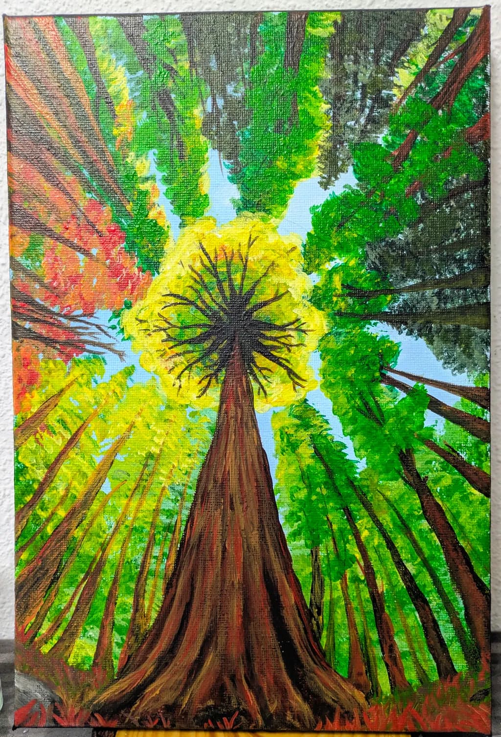 Canopy View