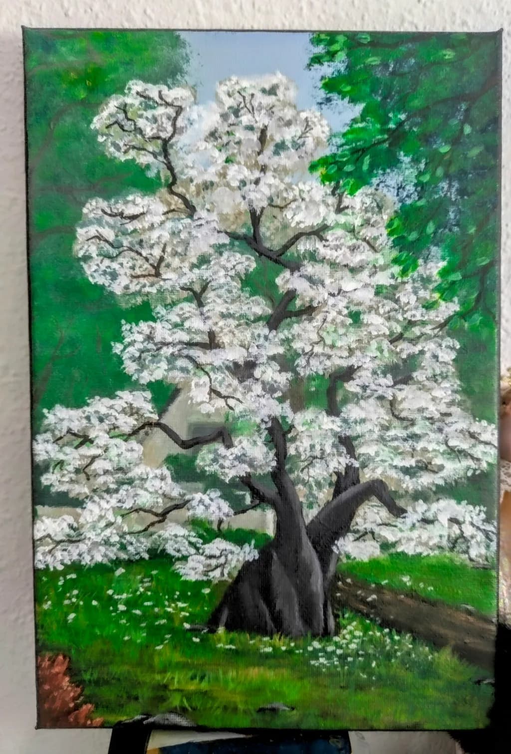 Blossom Serenity