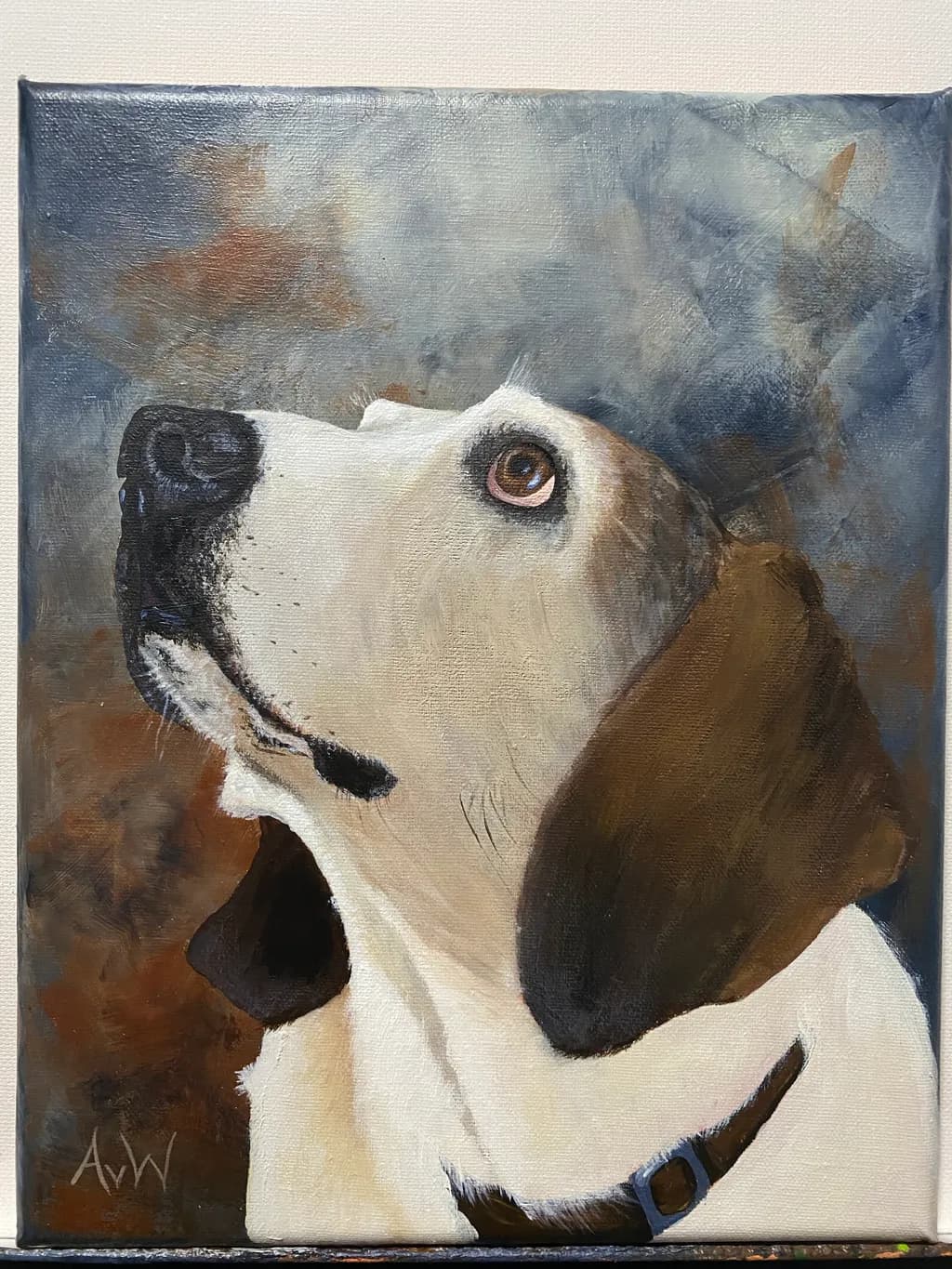 Curious Beagle