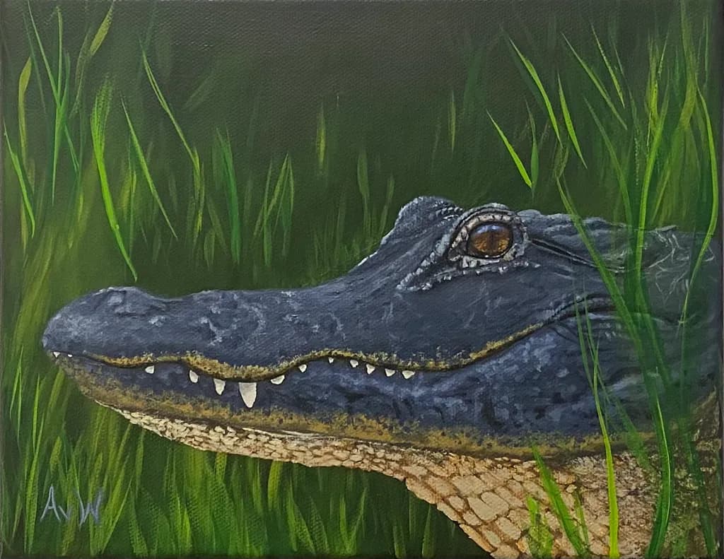 Crocodile Portrait
