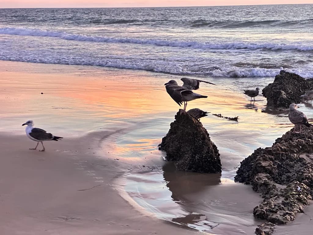 Coastal Serenity
