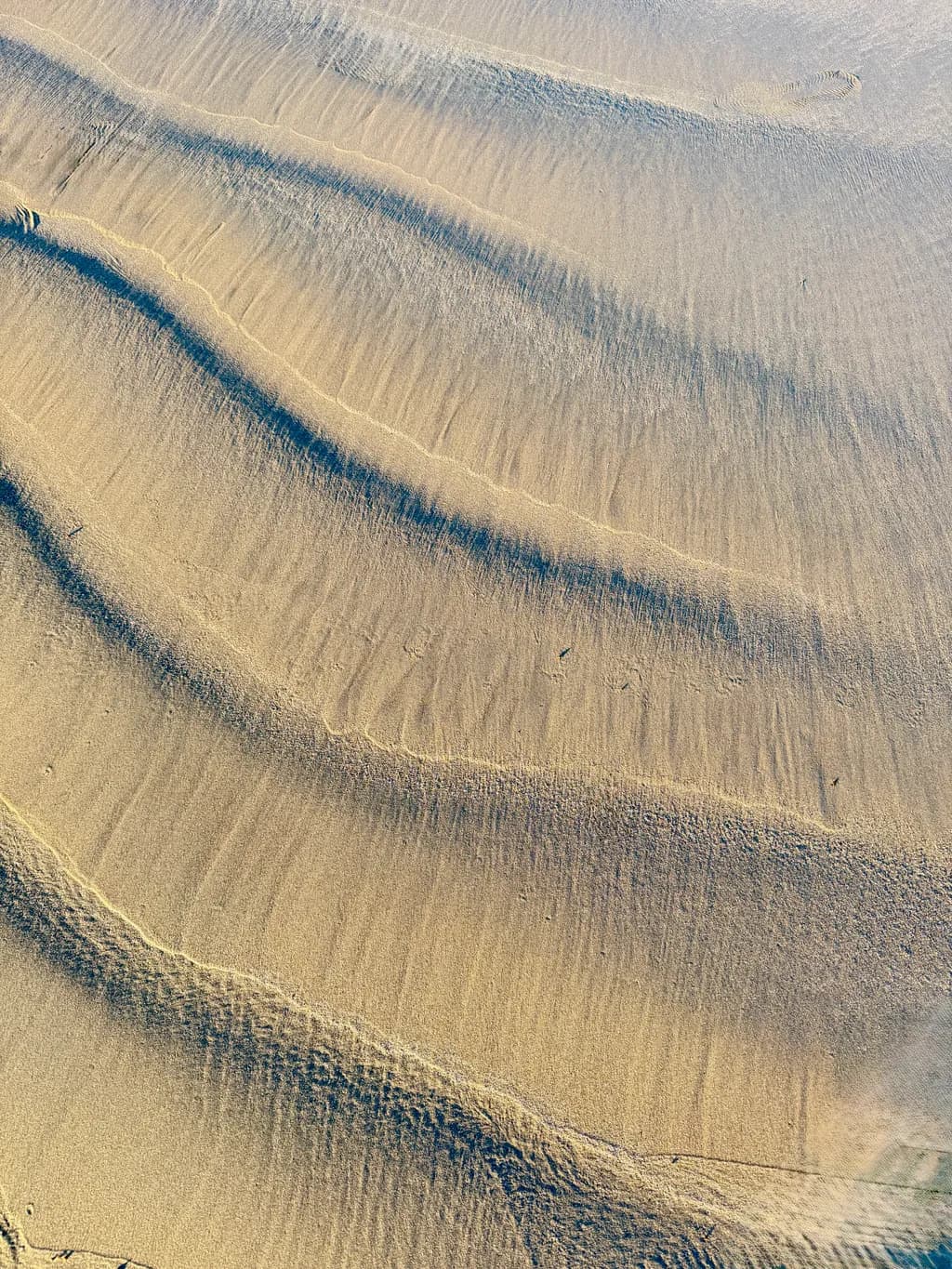 Gentle Tides