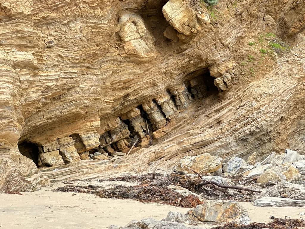 Coastal Echoes