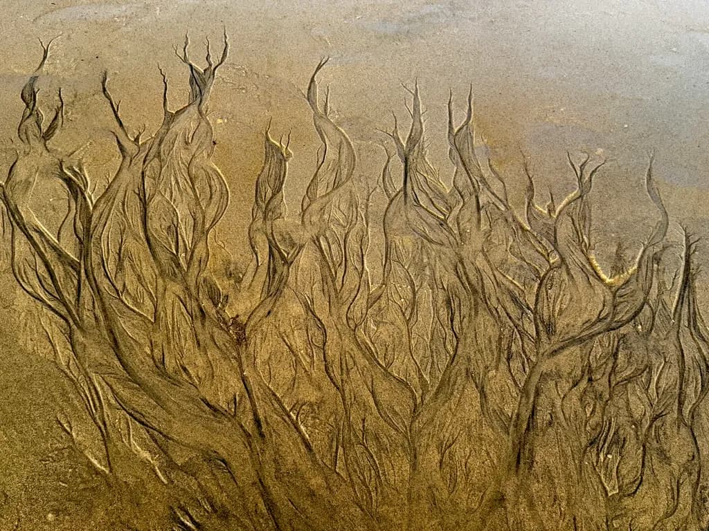 Underwater Whispers
