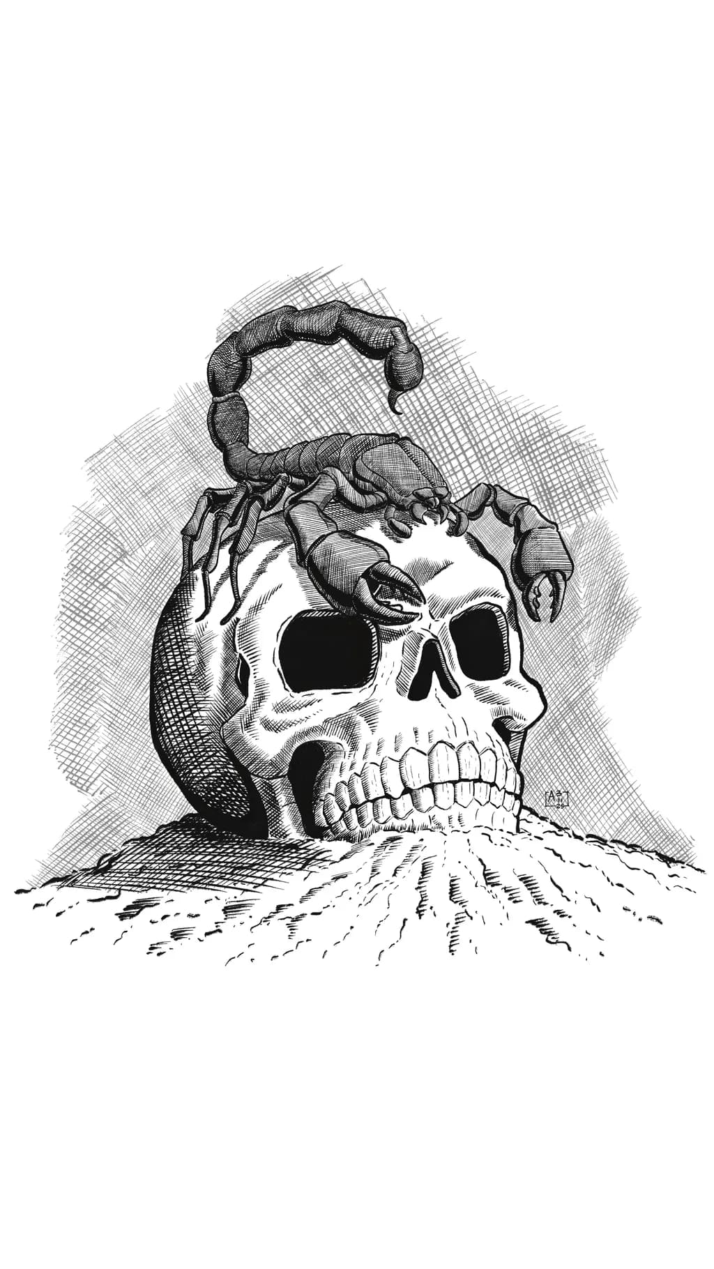 Skull and Scorpion
