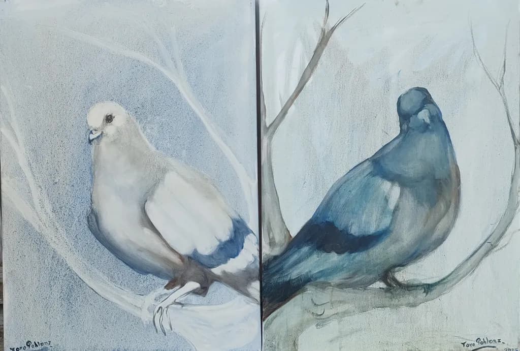 Dove and Bluebird Contrast