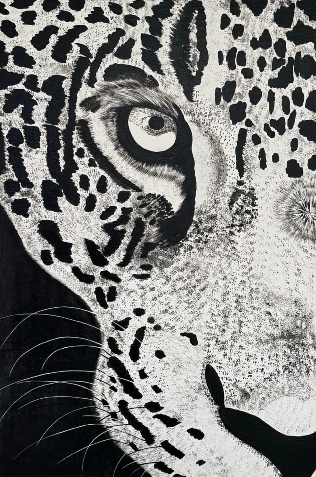 Jaguar Gaze