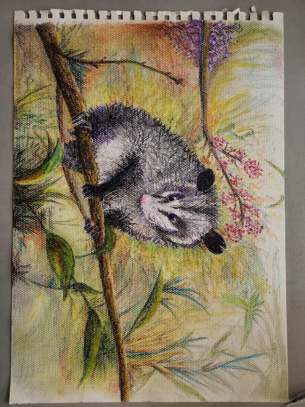 Playful Possum
