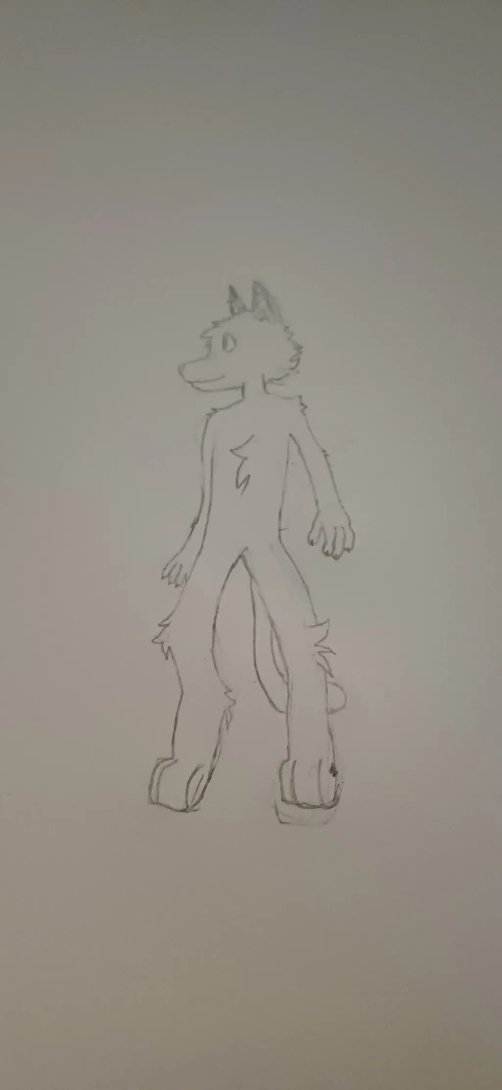 Furry Character Sketch