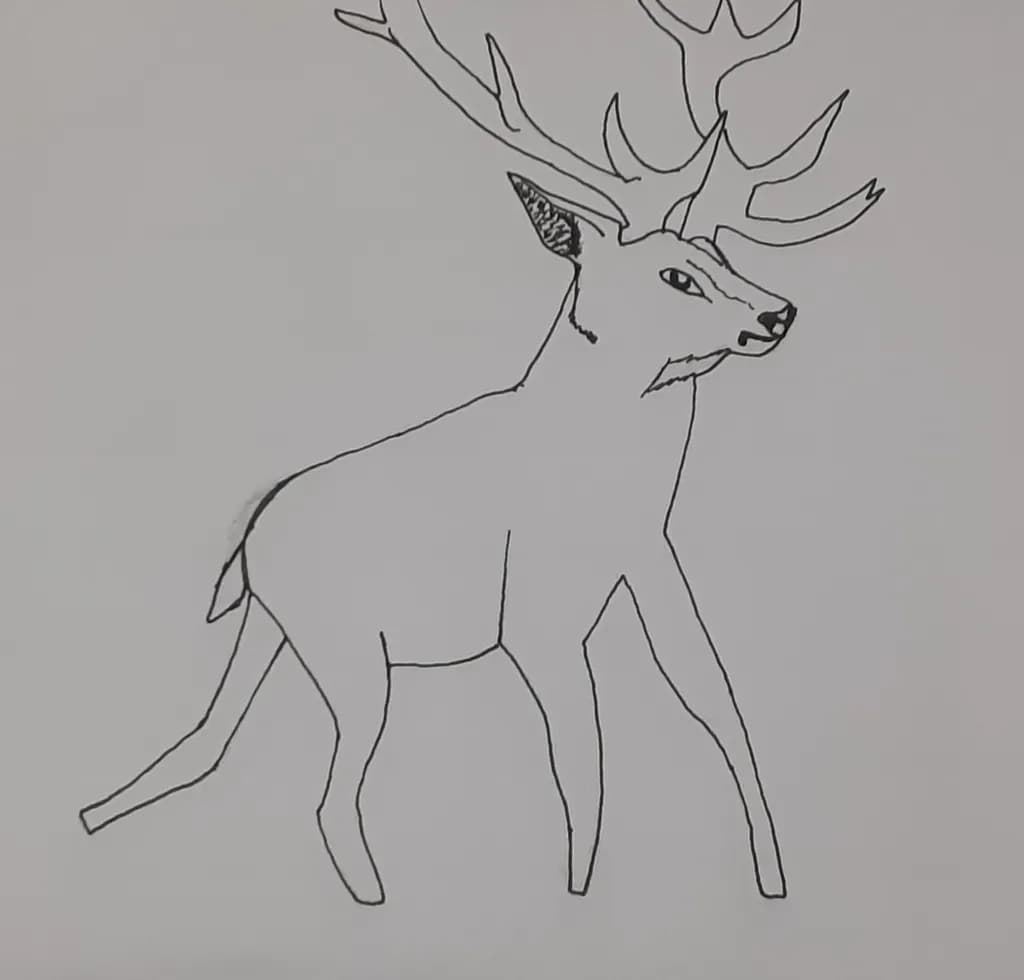 Antlered Outline
