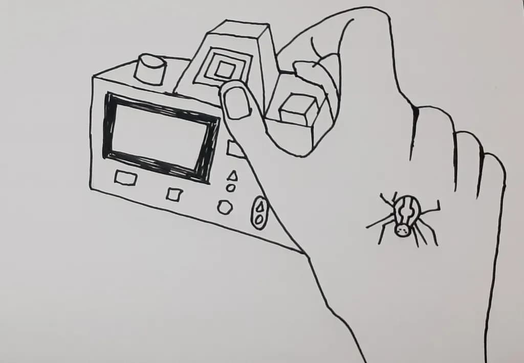 Camera and Spider