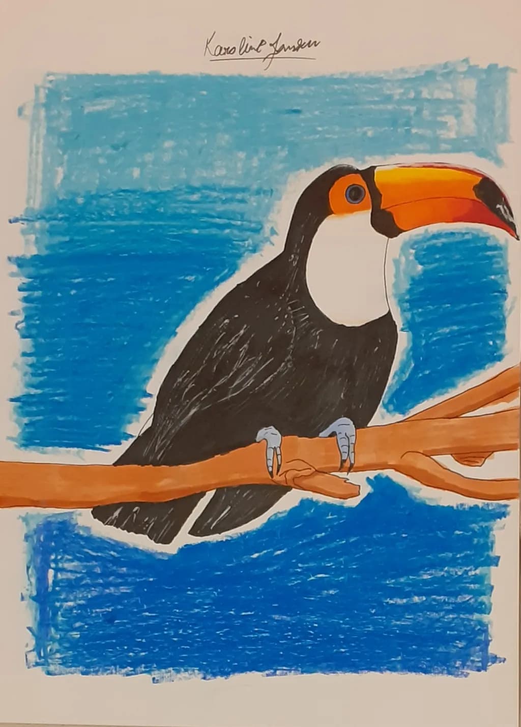 Tropical Toucan