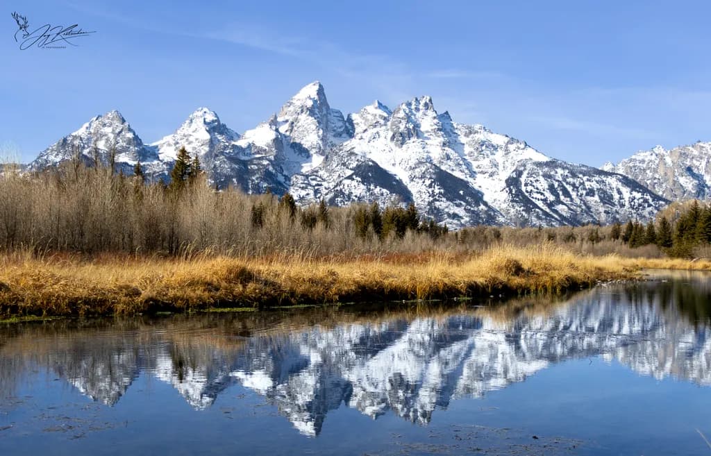 Majestic Reflections