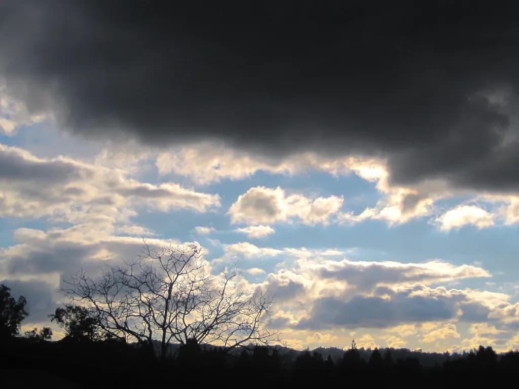 Dramatic Skies