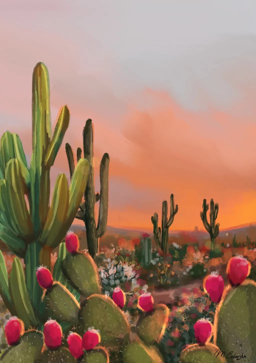 Desert Sunset Cacti