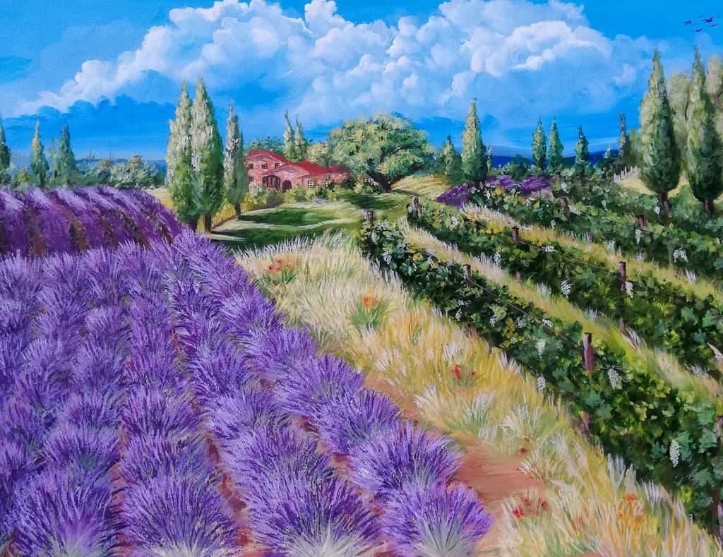 Lavender Fields Panorama