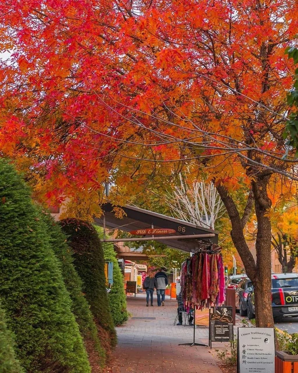 Autumn Stroll