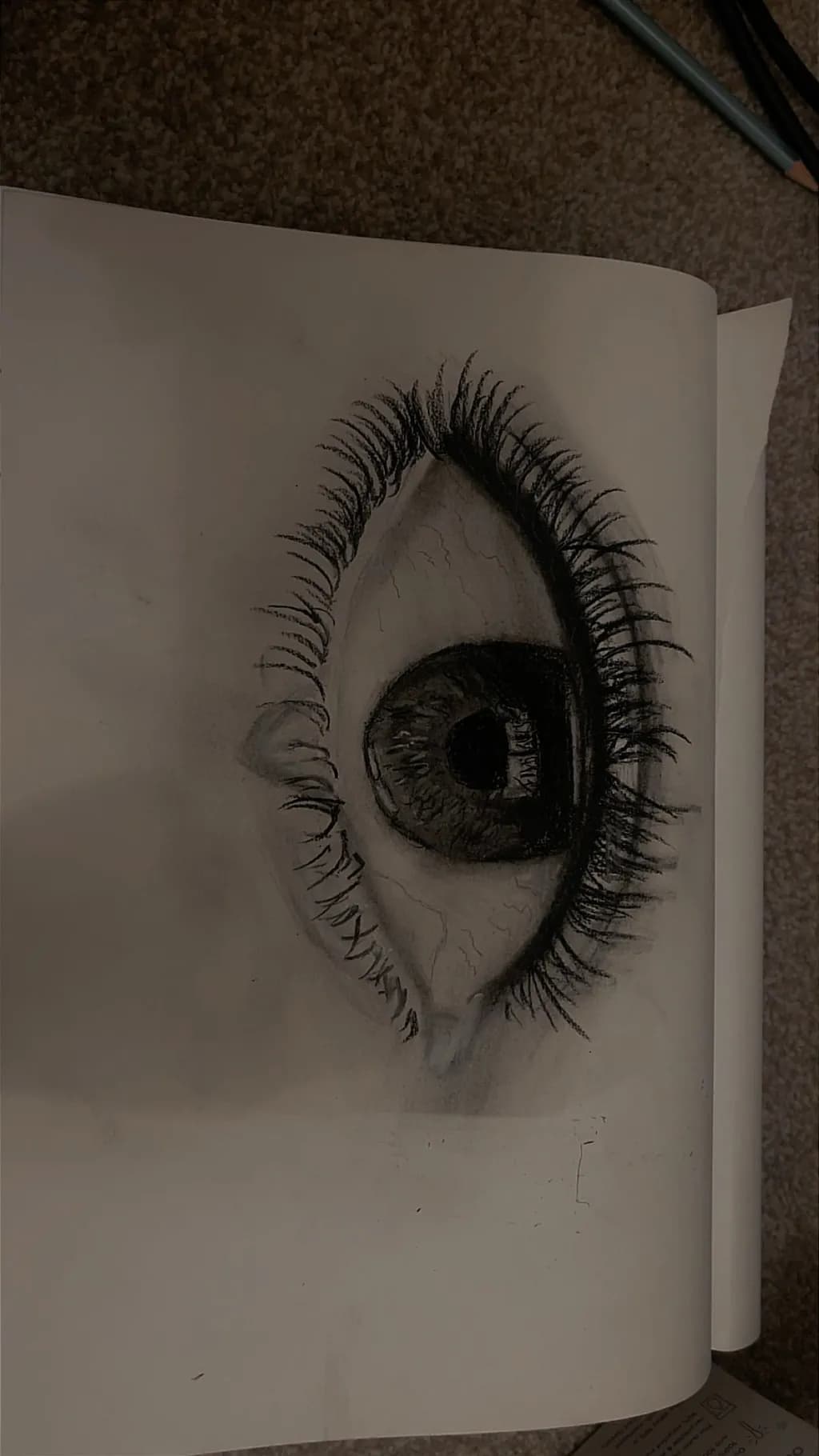 Monochrome Eye Detail