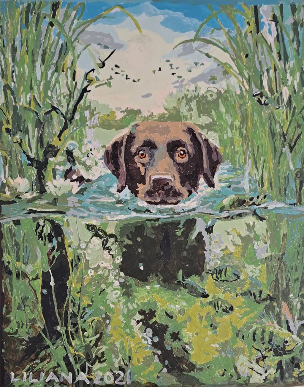 Water's Gaze