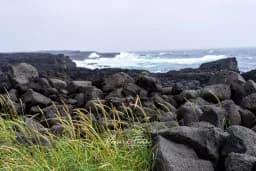 Brimketill Pool Coast