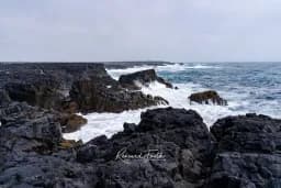 Brimketill Pool Rocks
